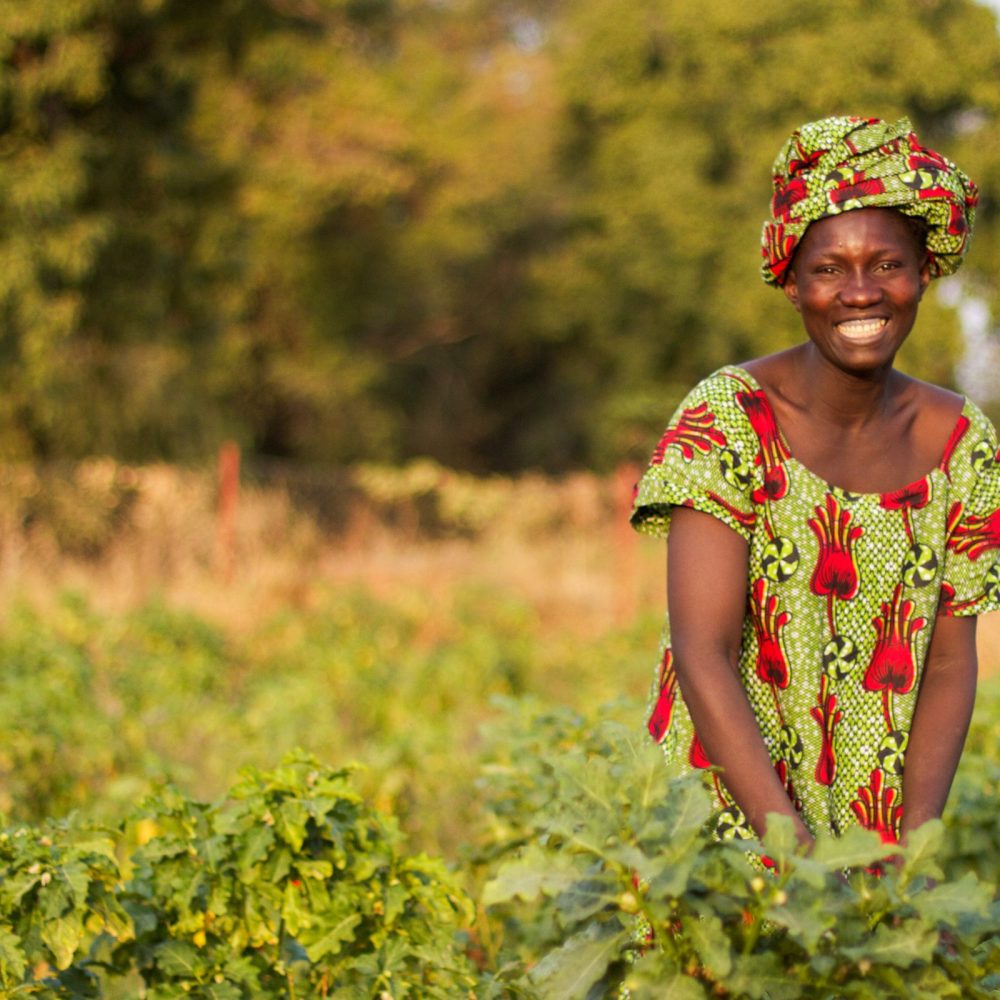 Köksträdgård för en familj