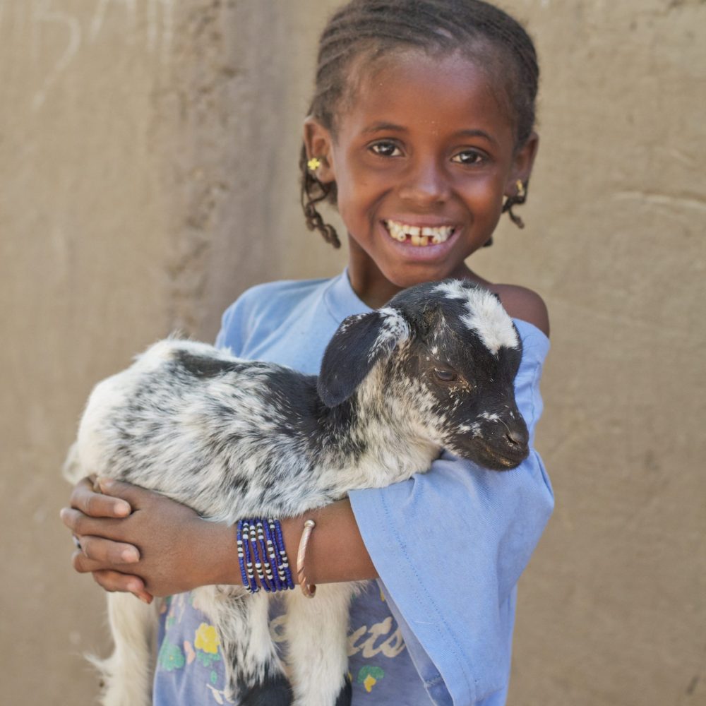 Geten som förändrar liv