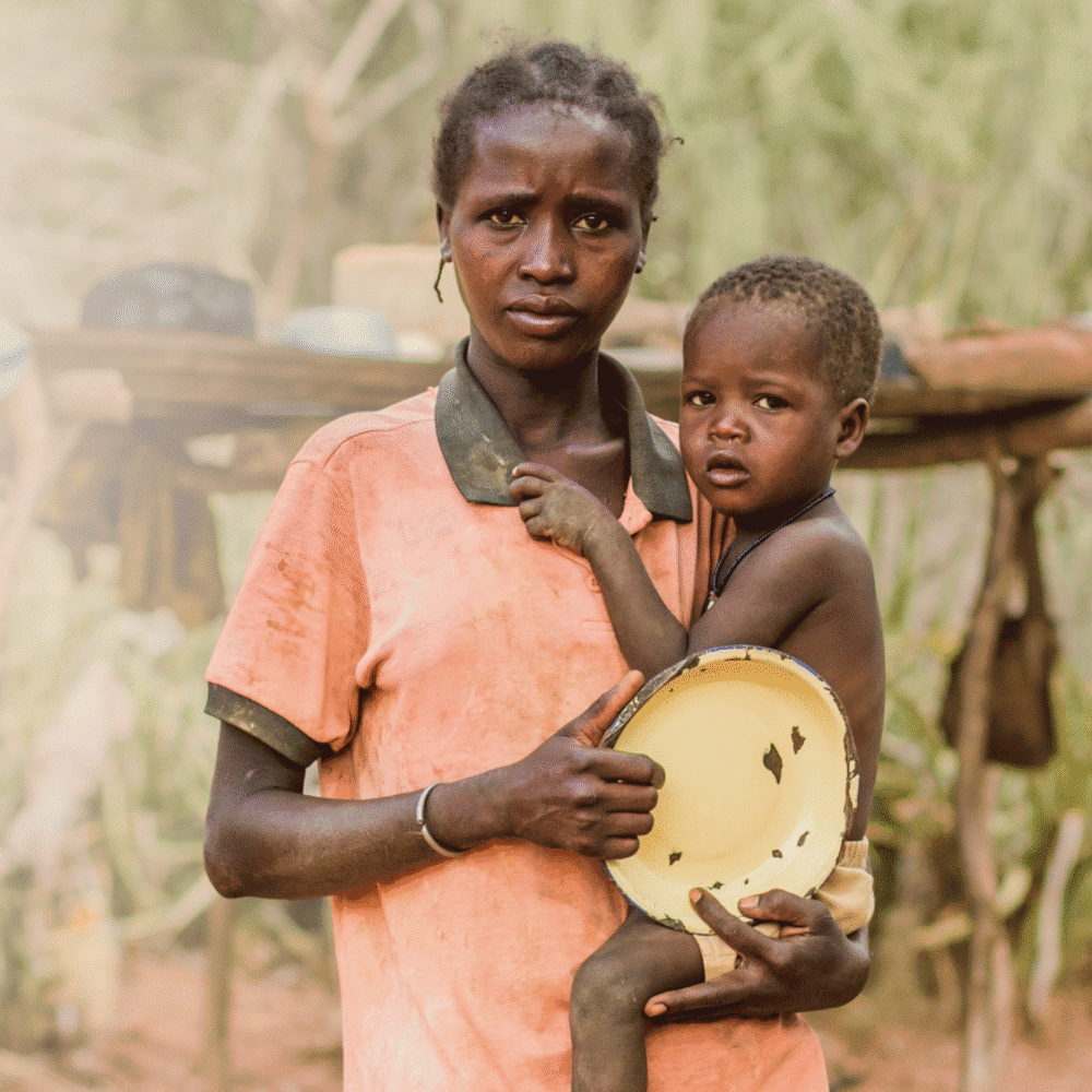 Matpaket för en familj